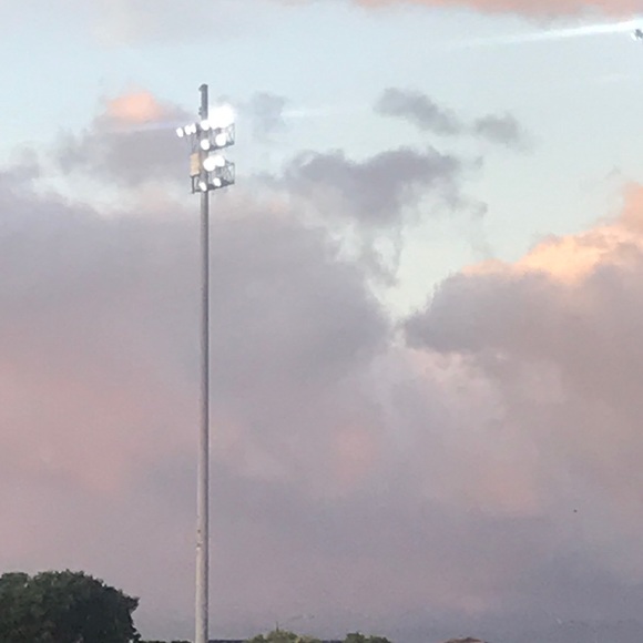 Meet your Posher, Talia - Picture 1 of 1